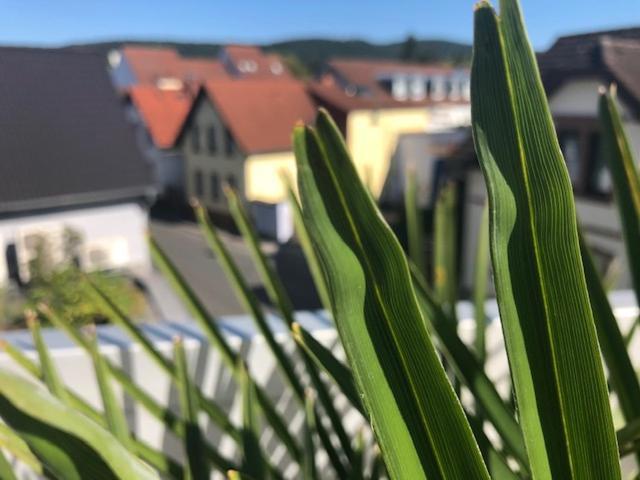 Wohnen Beim Brotsommelier - Alpenkruste Apartment Darmstadt Ngoại thất bức ảnh